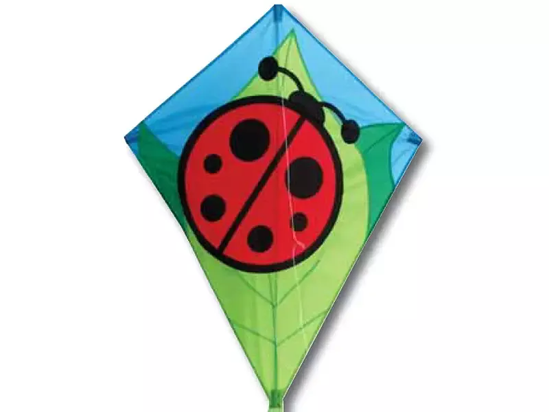 26″ Lady Bug Diamond