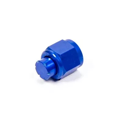Aeroquip #8 An Cap Aluminum
