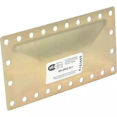Allstar Burst Panel SFI 23.1