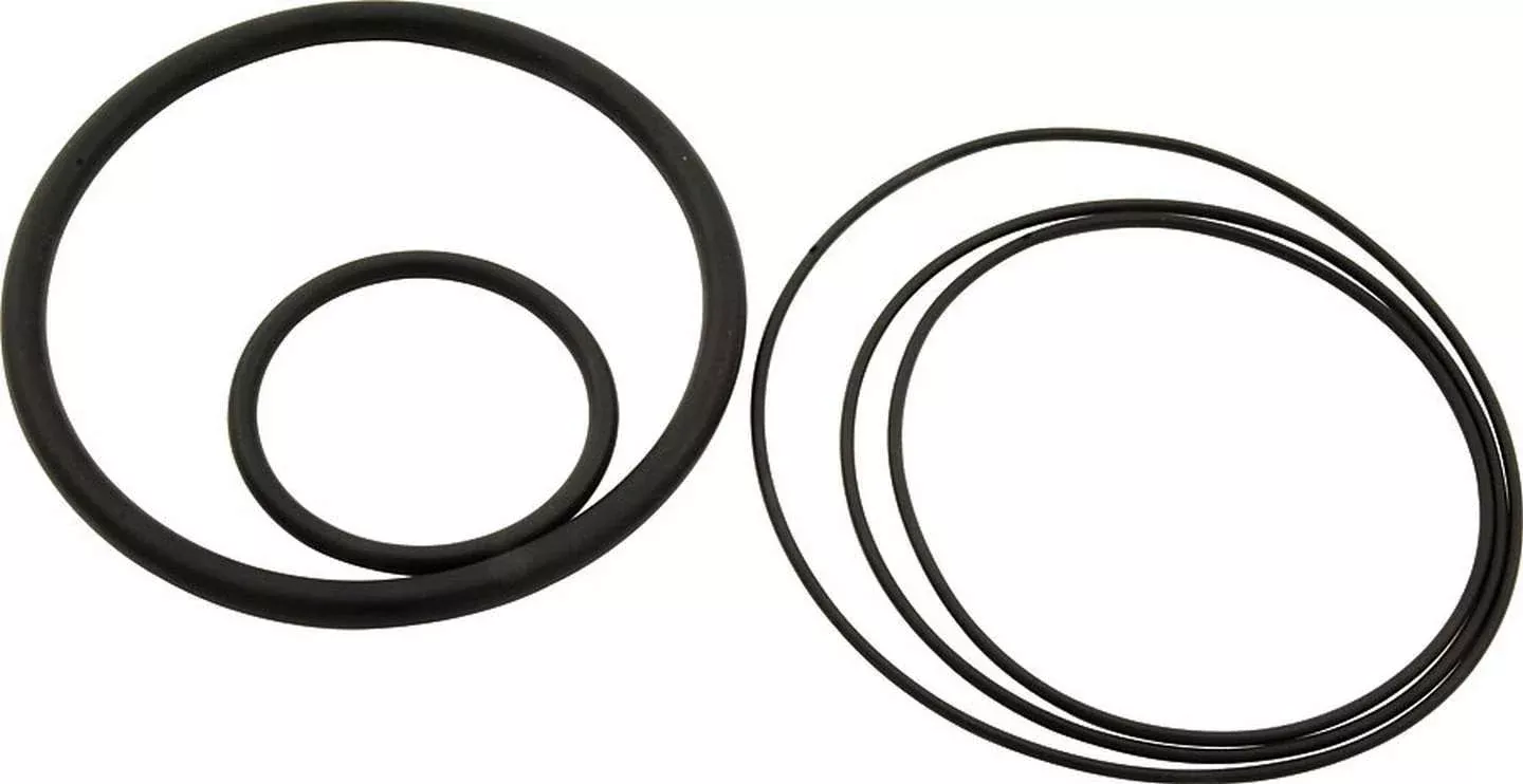 Allstar Performance Replacement O-Ring Kit for ALL64220 Hydraulic Adjuster for 2.5" Springs