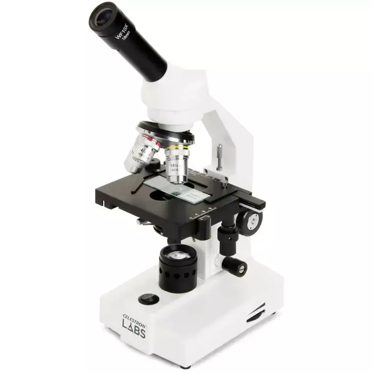 CM2000CF – Compound Microscope