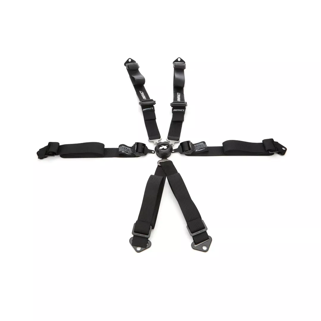 Impact 6-Point Rotary Camlock 2" Restraint 57359226