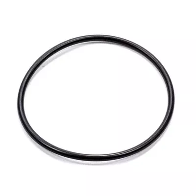 RCI Fuel Cell Cap Gasket 0142