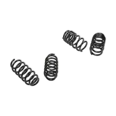 Rekudo Drop Springs for 2017+ Tesla Model 3