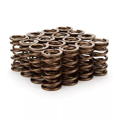 Straub Technologies 1.290 Dual Valve Springs 16pk